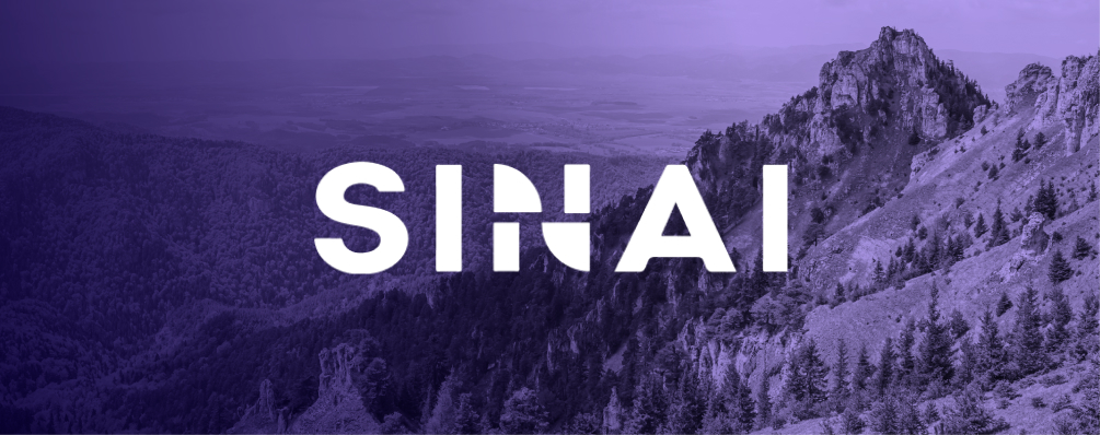 15Five Sinai customer story